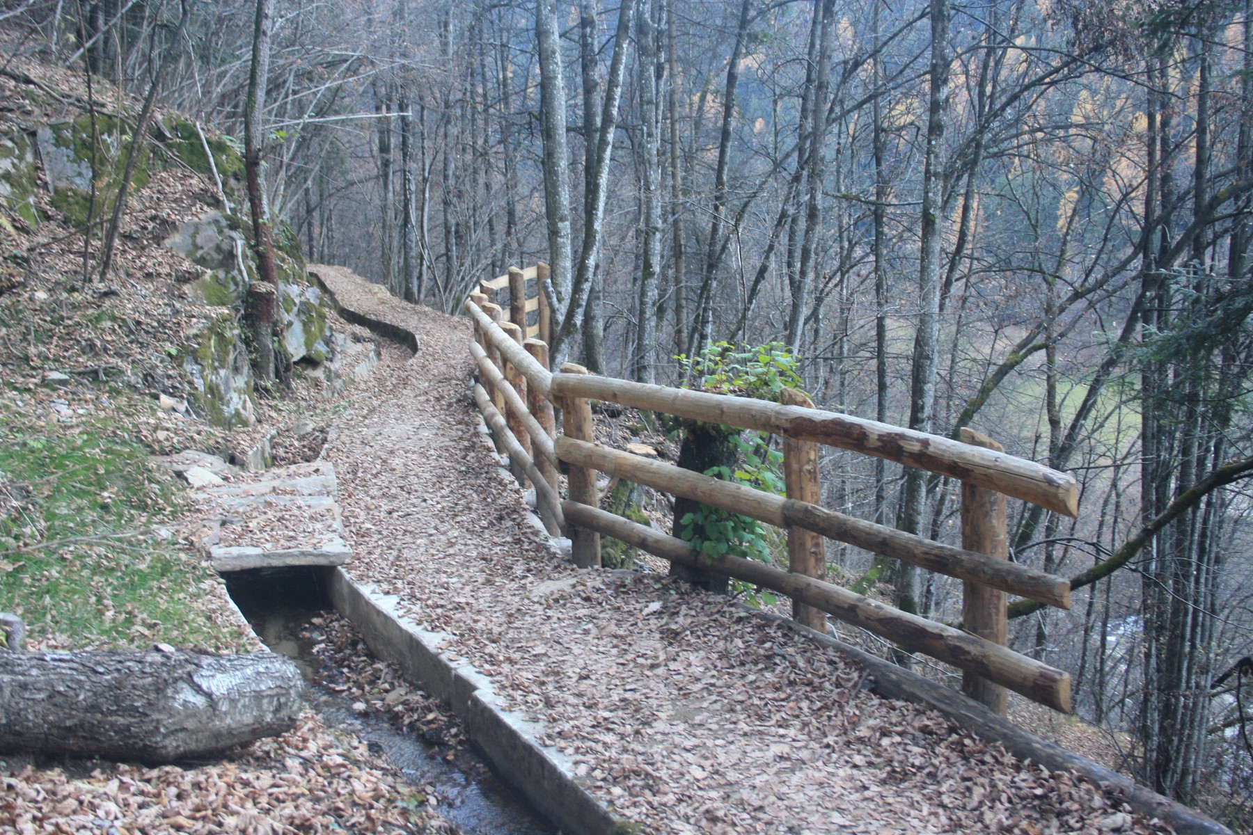 Sentiero Birreria Pedrotti 2
