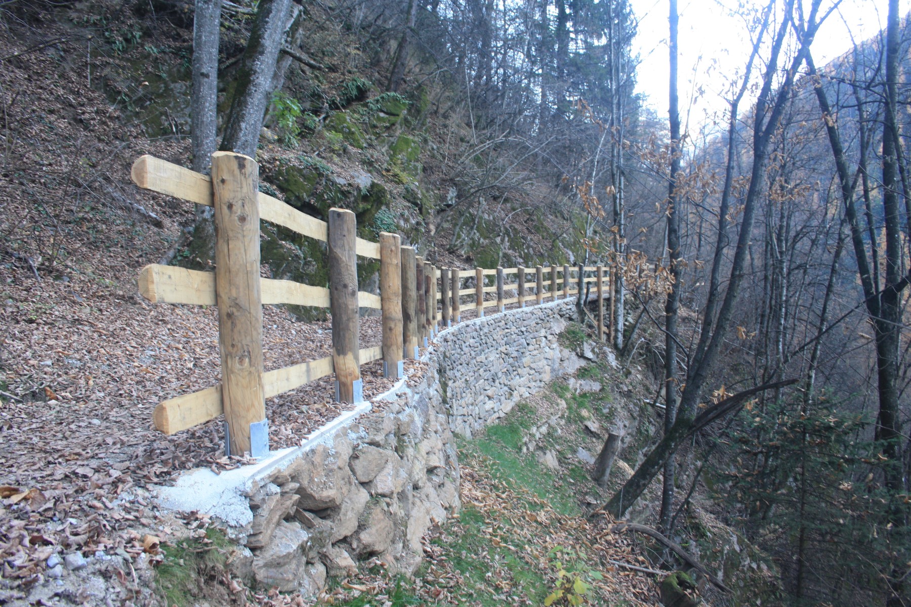 Sentiero Birreria Pedrotti 4