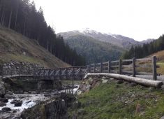 PONTE COLER